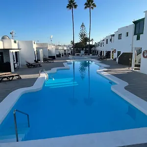 Lanza Palm , Puerto del Carmen (Lanzarote) Spain